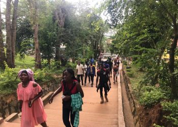 UNIVERSITE DE YAOUNDE I : dernier virage des préinscriptions