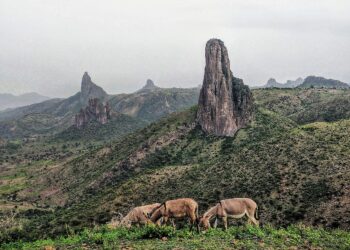 LES MONTS MANDARA : entre nature sauvage et richesse culturelle