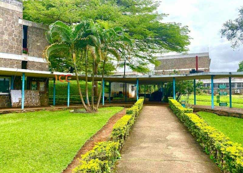 SECTEUR MEDICO-SANITAIRE: concours National et harmonisation des formations pour tous