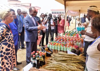 COLLOQUE INTERNATIONAL SUR LA CULTURE ENTREPRENEURIALE : Une nouvelle impulsion économique