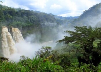 LES CHUTES D’EKOM NKAM : Voyage au cœur de la nature