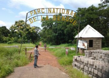 Parc national de la Bénoué : la fierté du sahel