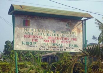 Parc National De Korup : une merveille de biodiversité