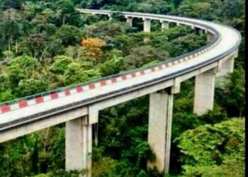 LE VIADUC DE MAMFÉ : Une élévation vers l’avenir du Cameroun