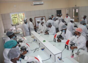 Valorisation de l’enseignement professionnel : l’État face à l’échec de la formation professionnelle