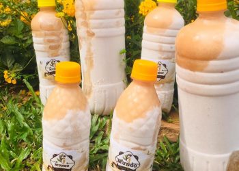Mungo Juice : Du jus naturel pour arrondir les fins du mois