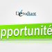 Appels à candidature et offres de la semaine : opportunités à saisir