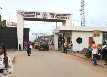 Théorie vs pratique : l’écart universitaire