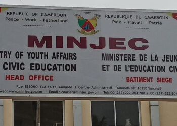 Insertion socioprofessionnelle des jeunes : Le MINJEC dénonce la cabale de désinformation