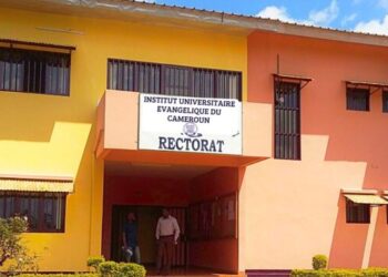 Université UY II : appel à candidatures master en Communication Scientifique