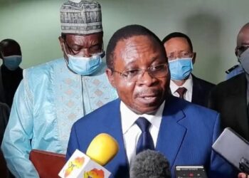 Southern interconnected grid: energy minister blames disruption to hydrological, operational challenges