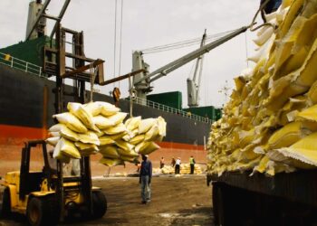 Import substitution plan 2024-2026:experts advocate for economic reforms