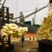Import substitution plan 2024-2026:experts advocate for economic reforms