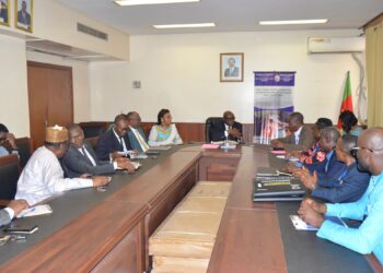 Minesup-plan international : alliance pour l’employabilité des jeunes