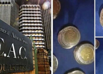 Disclaimer: BEAC says new coins circulated in video online fake