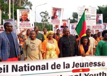 Following Brussels attack on authorities: Cameroonian youth call for peace, unity