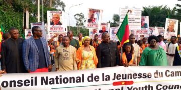 Following Brussels attack on authorities: Cameroonian youth call for peace, unity
