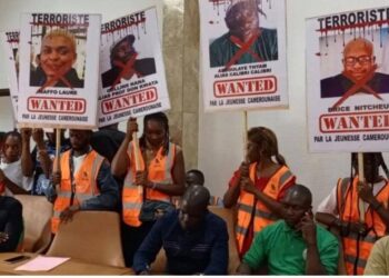 Jeunesse et patriotisme : feu de tout bois