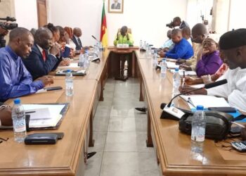 Instituts privés d’enseignement supérieur : un levier pour l’insertion des jeunes