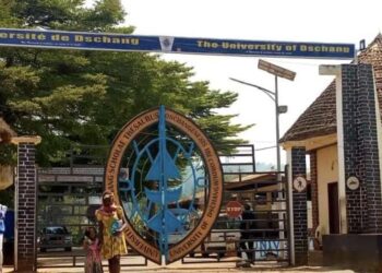 Université de Dschang : un débat sur la cohabitation entre médecine traditionnelle et moderne