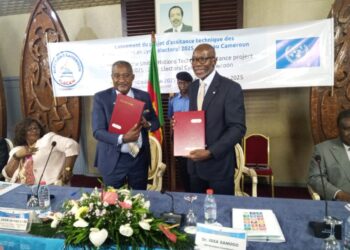 Cameroun-Onu : pour des élections transparentes