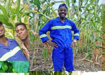 Agro-food FM: former pour booster les performances agricoles