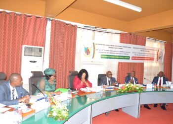 Commission nationale d’évaluation des formations : examen des diplômes obtenus à l’étranger