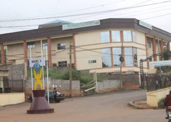 Institut des relations internationales du cameroun: une formation en Sport et R.I ouverte