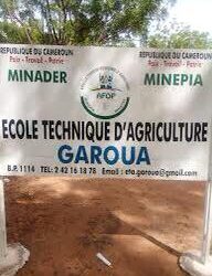 Techniques agricoles : 500 jeunes formés à Garoua