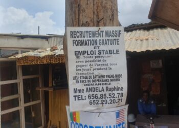 Emplois du secteur informel : arnaques à ciel ouvert