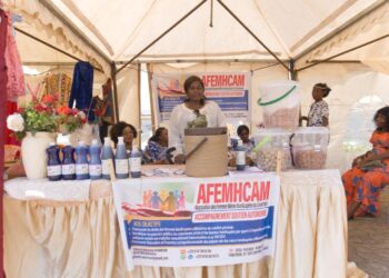 Handi-Foire :  lumière sur les talents ignorés