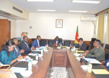 Université entrepreneuriale : exploration des contributions des partenaires