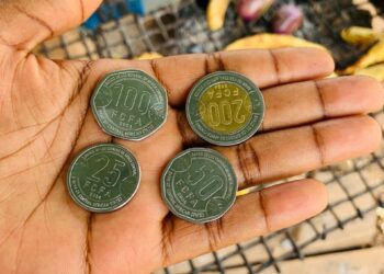 Pièces de monnaie : les nouveaux jetons sèment le trouble