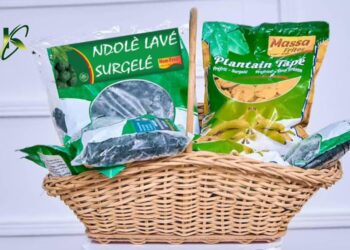 Soulkeys agro : des produits-agroalimentaires surgelés sur le marché