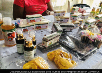 Entrepreneuriat : un abri contre le chômage 