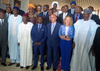 Fichier national : des thèses-mémoires sous de bons auspices