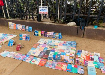 Librairies de fortune : le savoir à la portée de tous