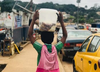 La saison des safous : des jeunes s’en mettent plein les poches