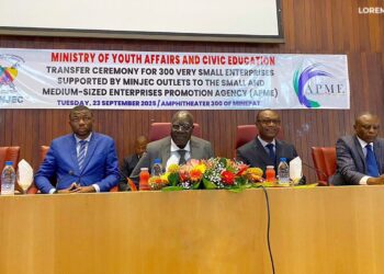 Jeunesse-entrepreneuriat : 300 jeunes entreprises bénéficiaires