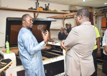 Dev Ai : au service de l’agro-industrie