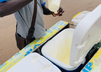 Kossam sur roues : le lait local, un gagne-pain quotidien