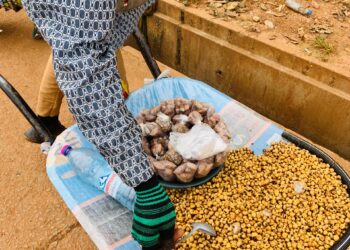 Dattes et « ouatoudje » :des bénéfices qui laissent à désirer