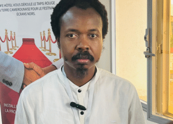 Le maillon faible : l’absence de distributeurs