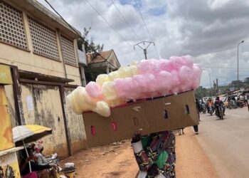 Cotton candies: Rose cloud that brings smiles after school