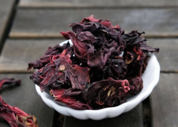 Foléré Marat Sarl: l’oseille comme levier d’innovation locale