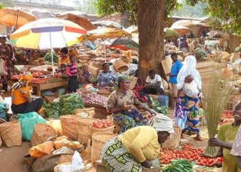 Journée mondiale de l’alimentation : main dans la main avec la jeunesse