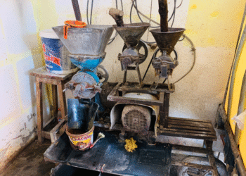 Moulins à écraser : moteur discret de l’économie locale  