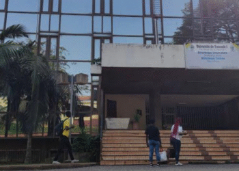 Université de Yaoundé I : les diplômes de la FALSH sont disponibles