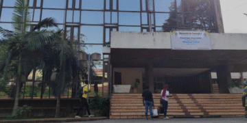 Université de Yaoundé I : les diplômes de la FALSH sont disponibles