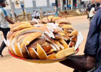 Coconut: bigger gains in smaller sizes